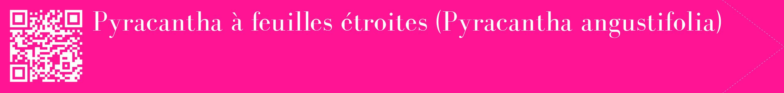 étiquette 2