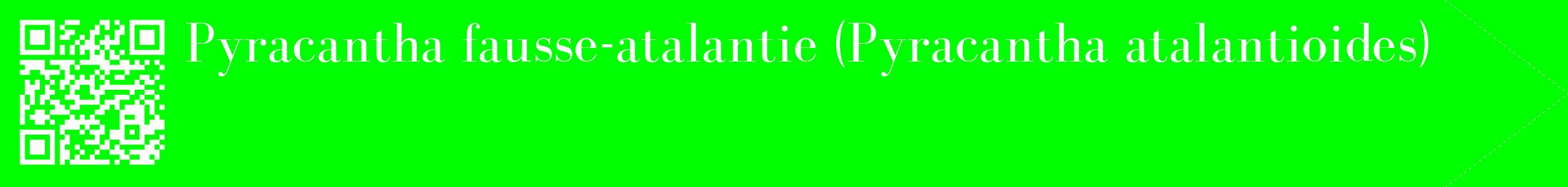 étiquette 2