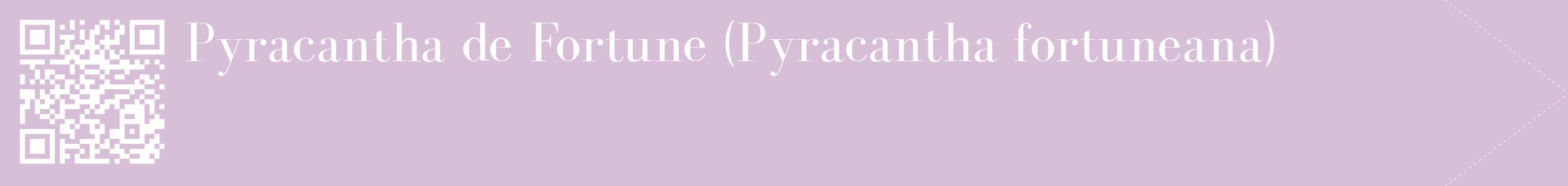 étiquette 2