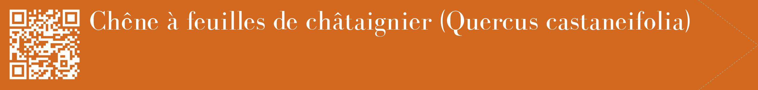 étiquette 2