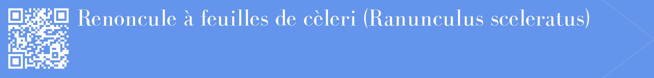étiquette 2