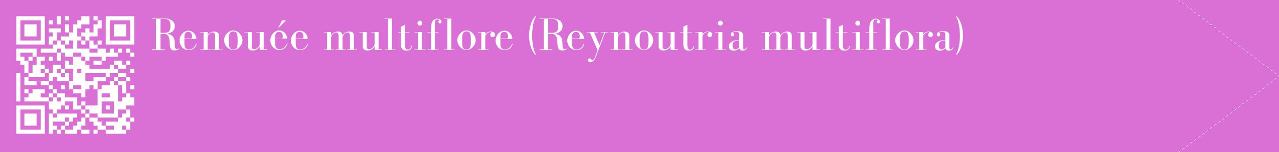 étiquette 2