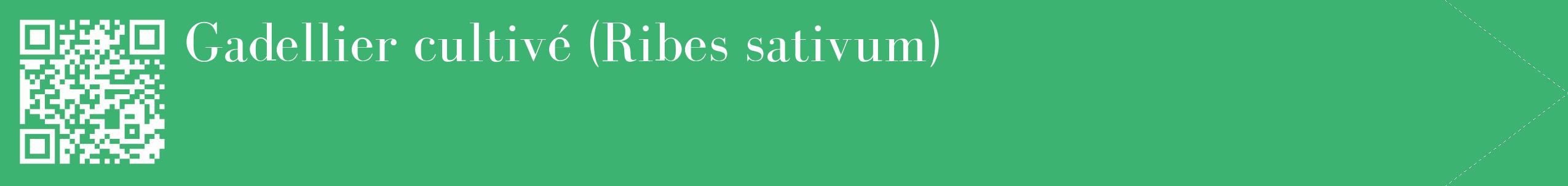 étiquette 2