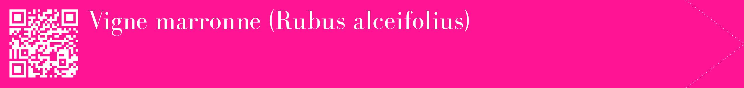 étiquette 2