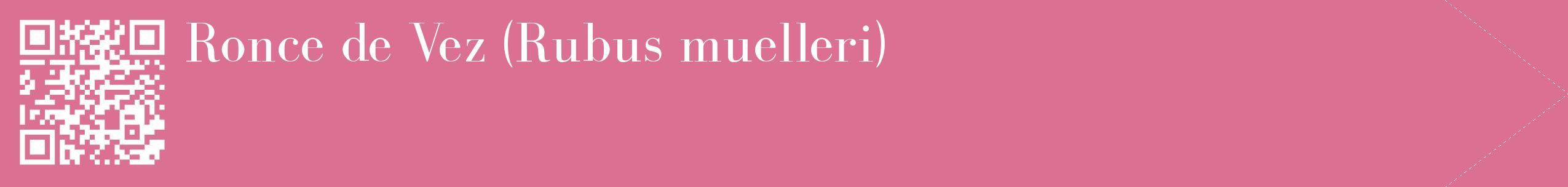étiquette 2