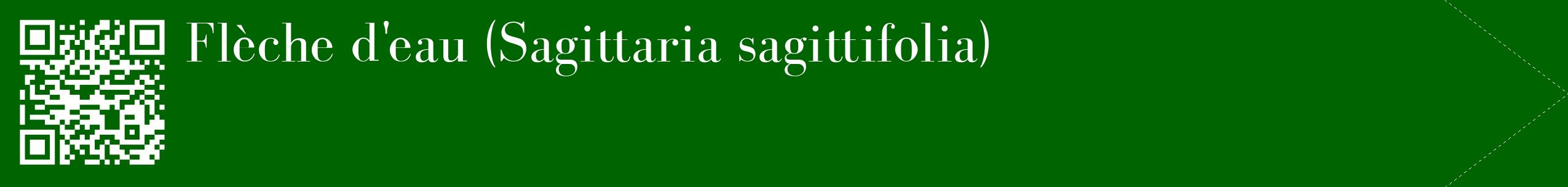 étiquette 2