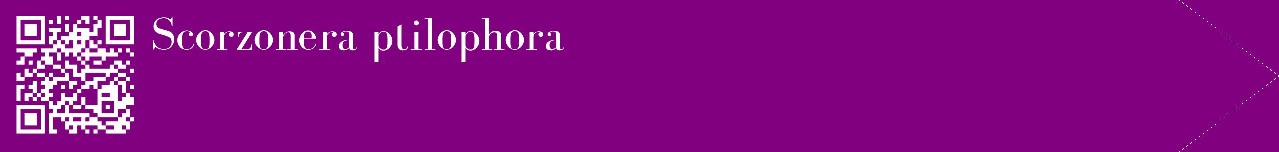étiquette 2