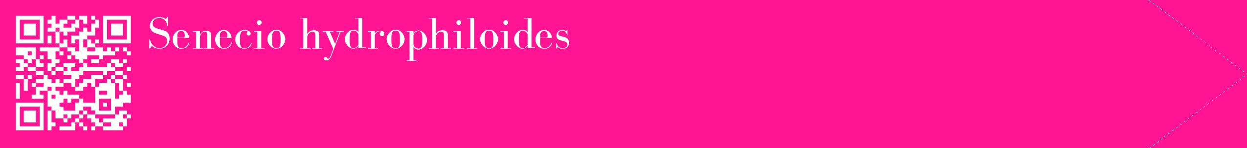 étiquette 2