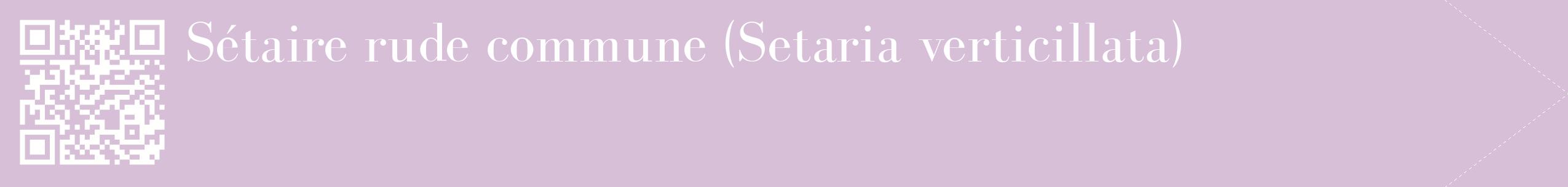 étiquette 2