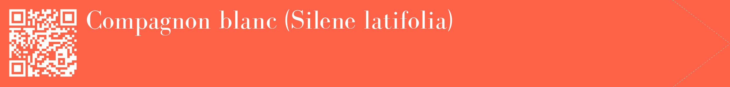 étiquette 2