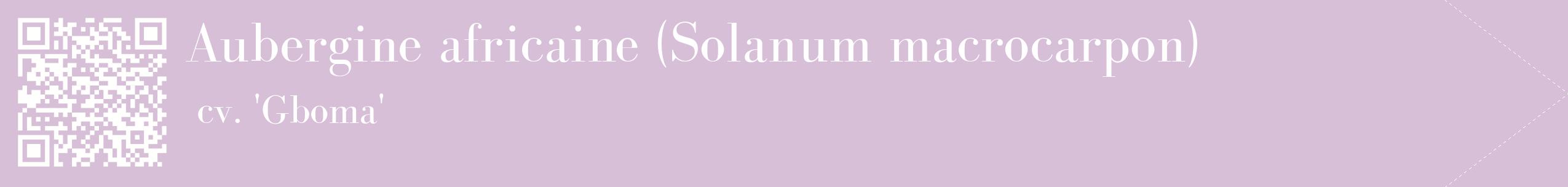 étiquette 2