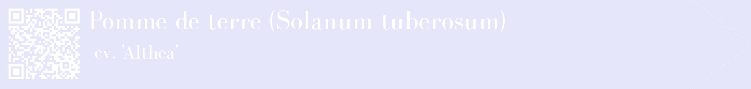 étiquette 2