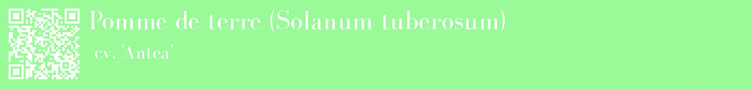étiquette 2