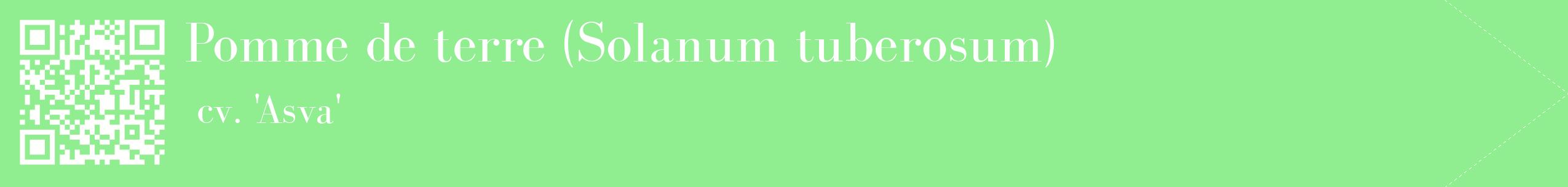étiquette 2