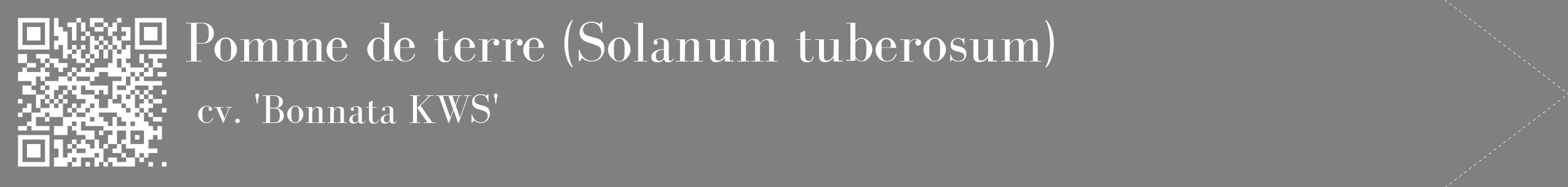 étiquette 2