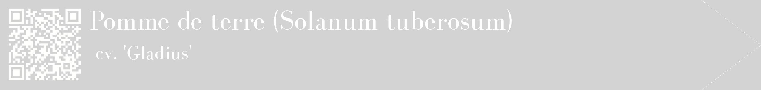étiquette 2