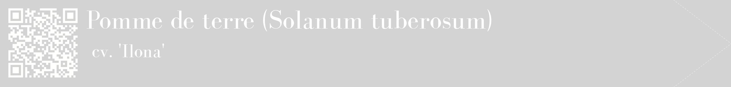 étiquette 2