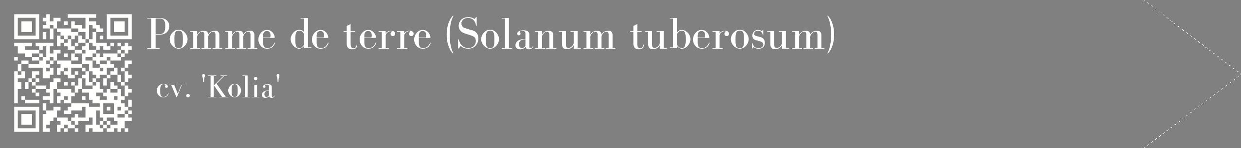étiquette 2