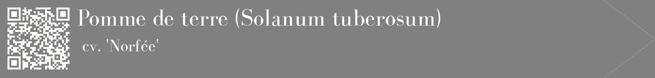 étiquette 2