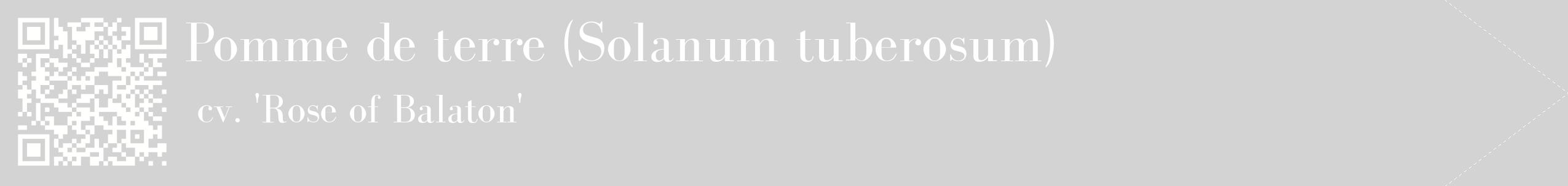 étiquette 2