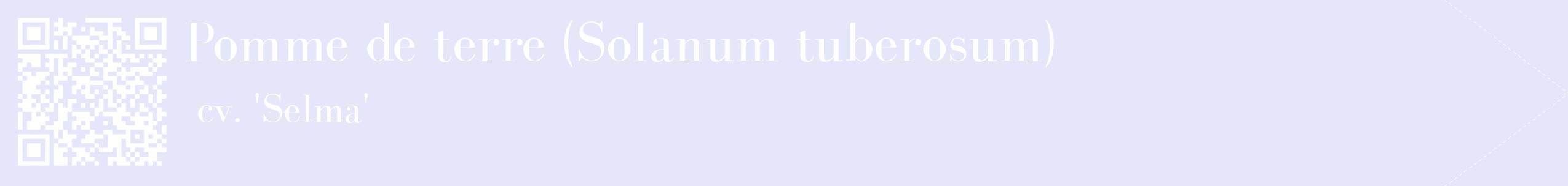 étiquette 2