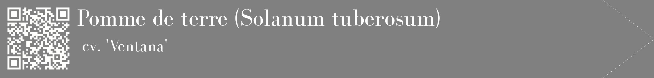 étiquette 2