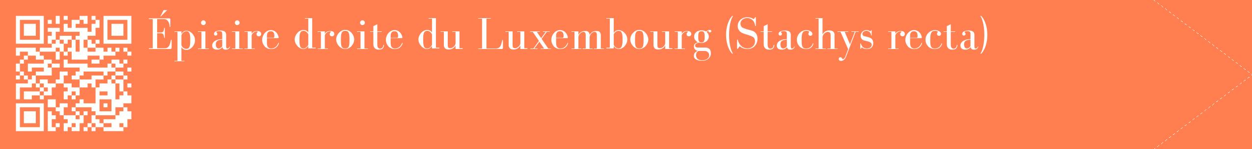 étiquette 2