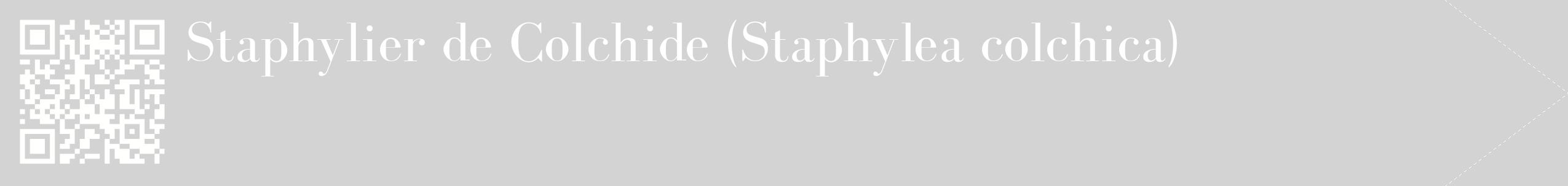 étiquette 2
