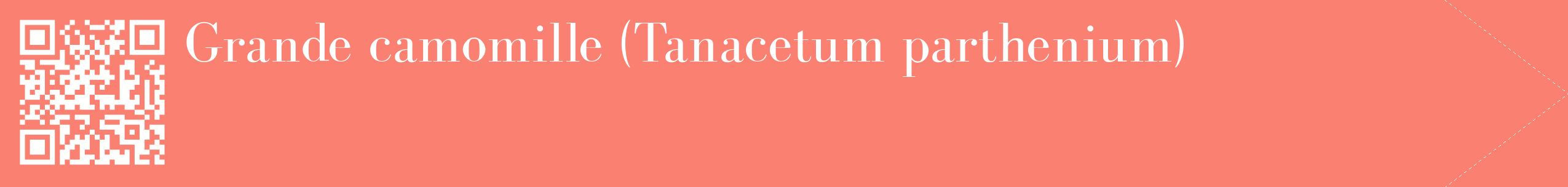 étiquette 2