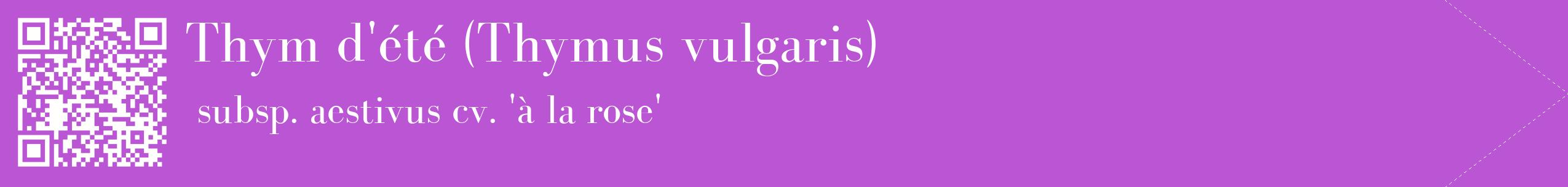 étiquette 2