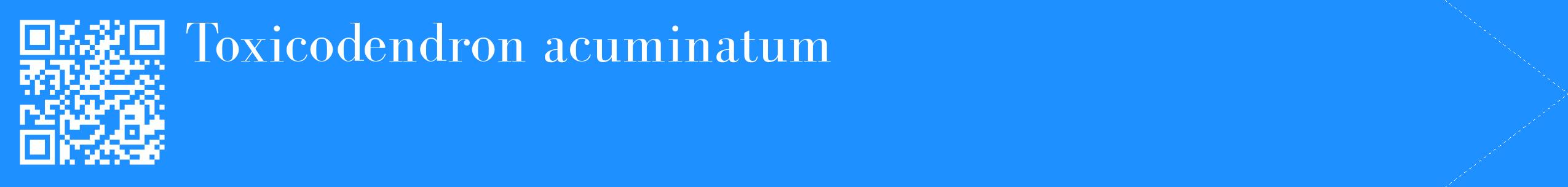 étiquette 2