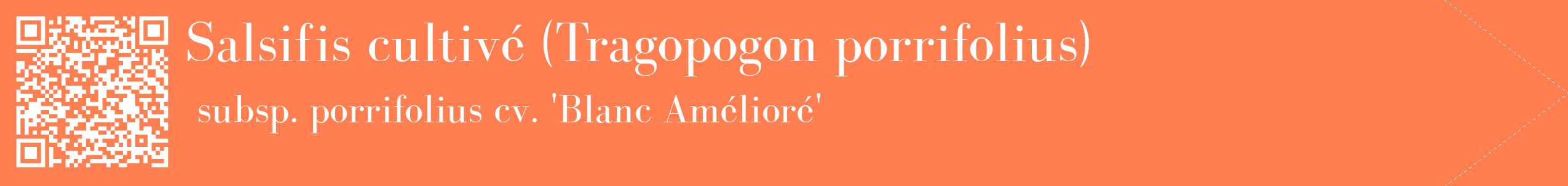 étiquette 2