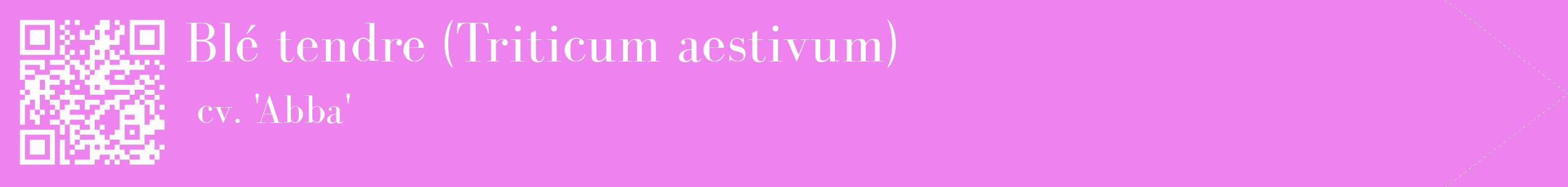 étiquette 2