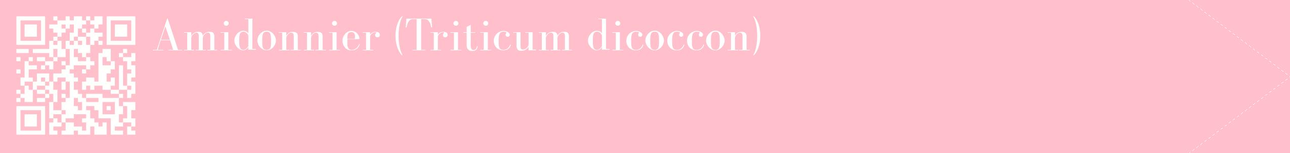 étiquette 2