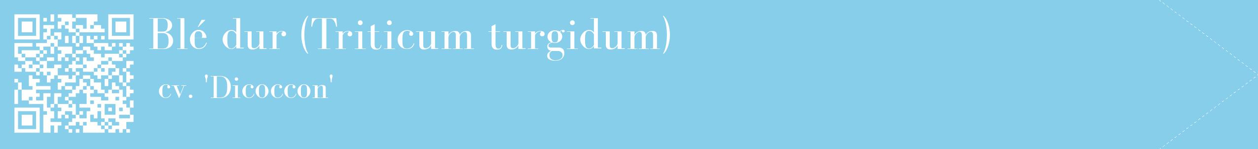 étiquette 2