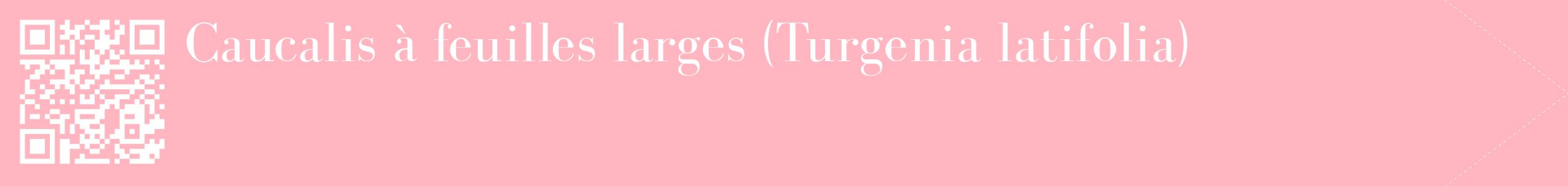 étiquette 2