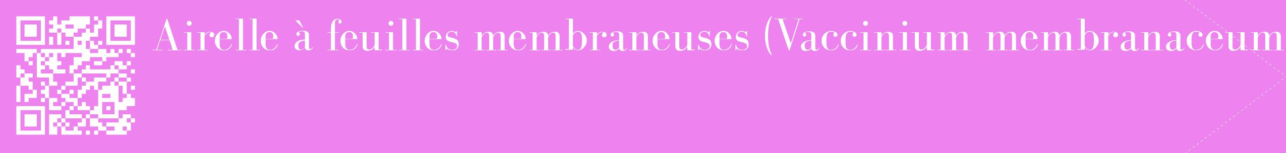étiquette 2