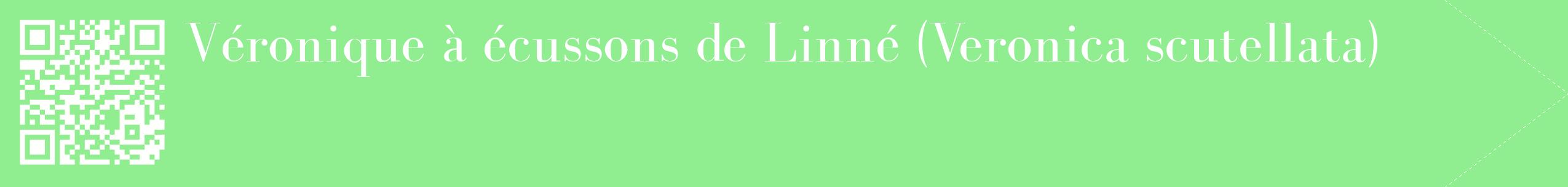 étiquette 2