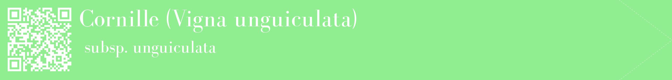étiquette 2
