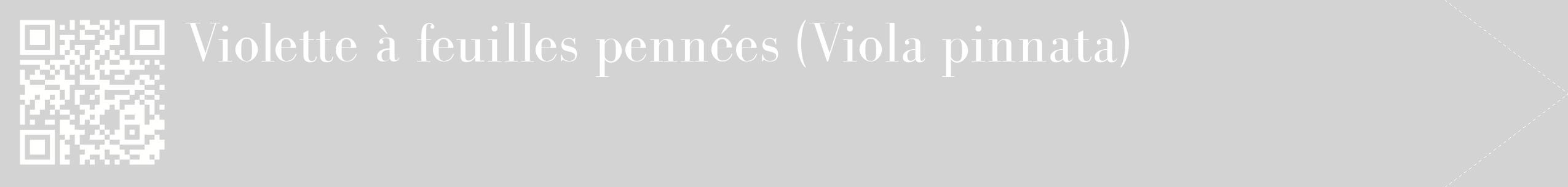 étiquette 2