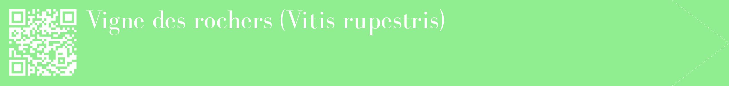 étiquette 2