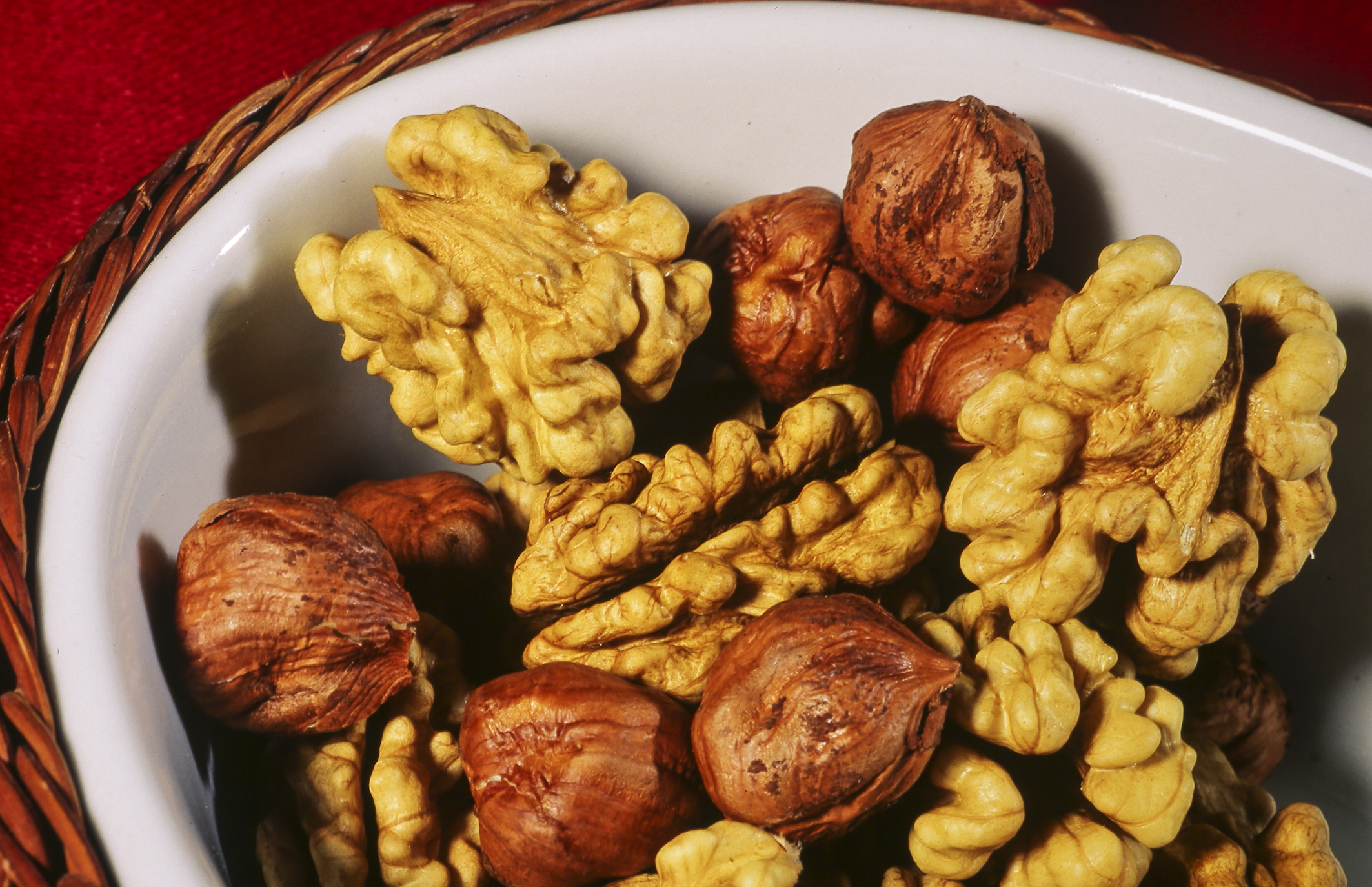 Illustration Juglans regia, Par INRA DIST, via wikimedia 