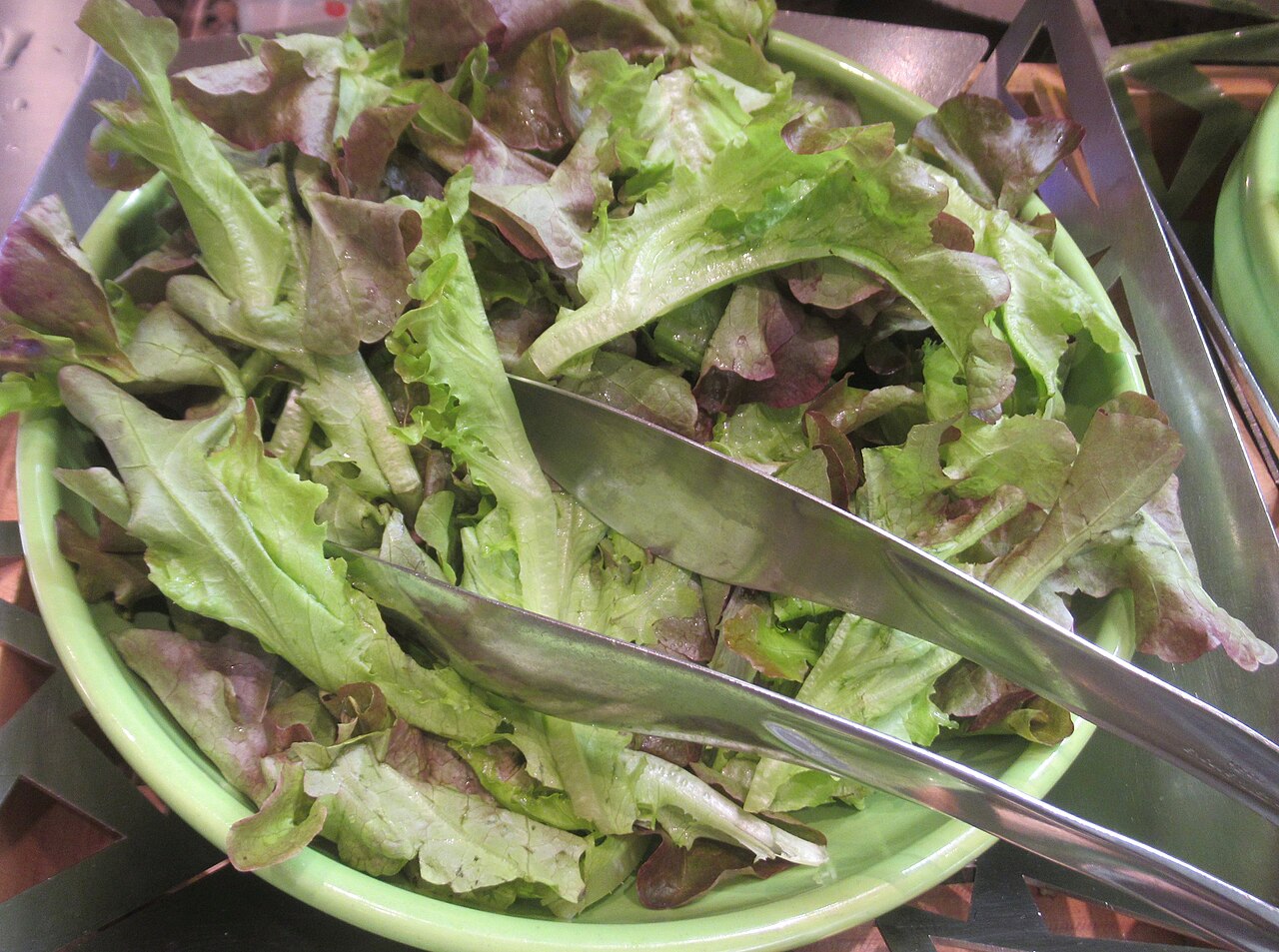 Illustration Lactuca sativa, Par P1898, via wikimedia 