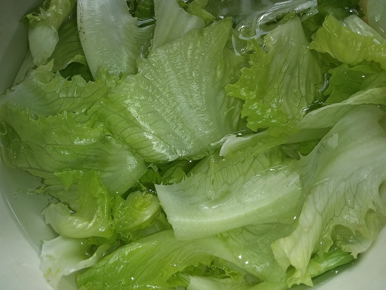 Illustration Lactuca sativa var. longifolia, Par Wu Maoyau Men Tea, via wikimedia 