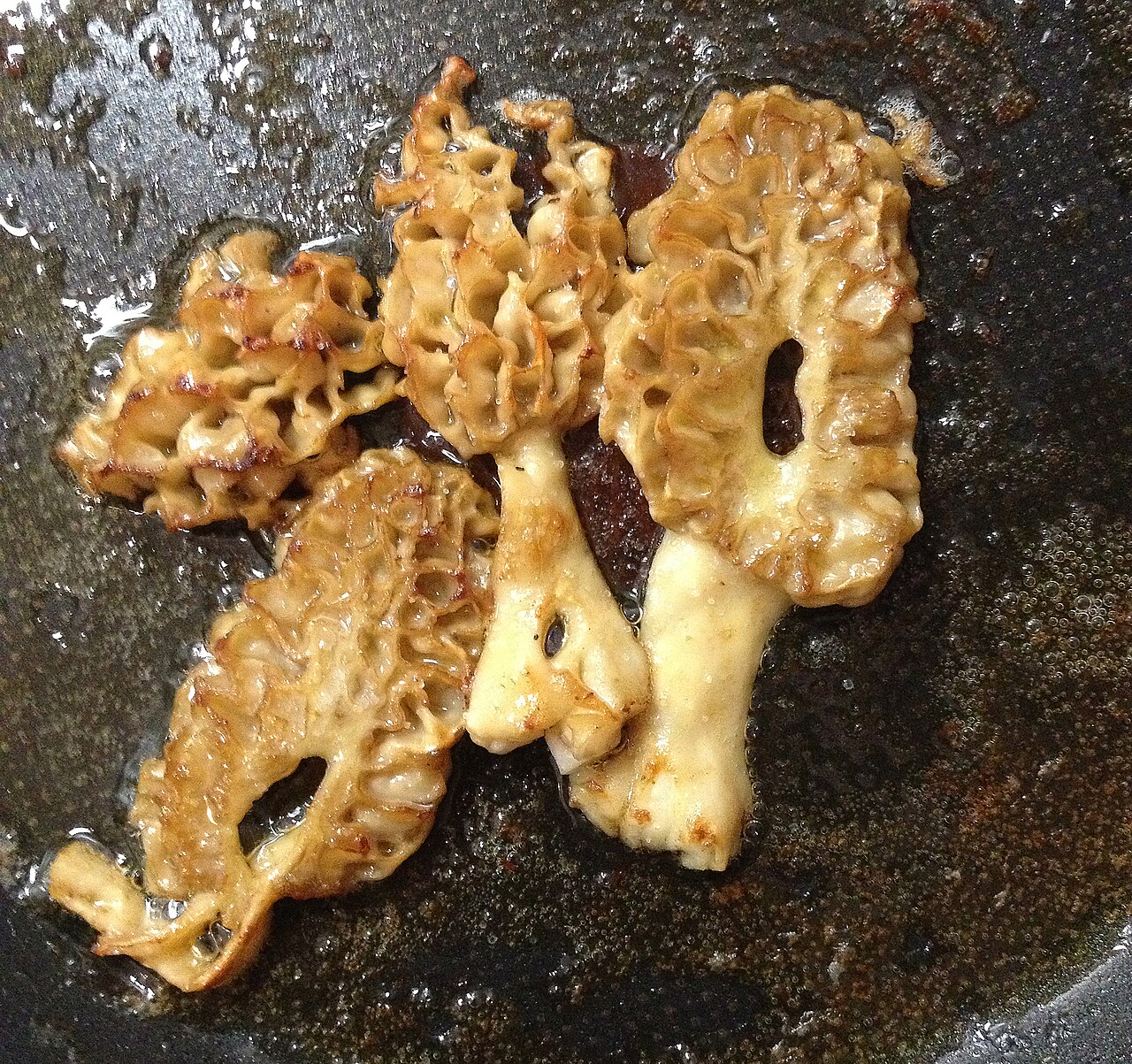 Illustration Morchella esculenta, Par Amada44, via wikimedia 