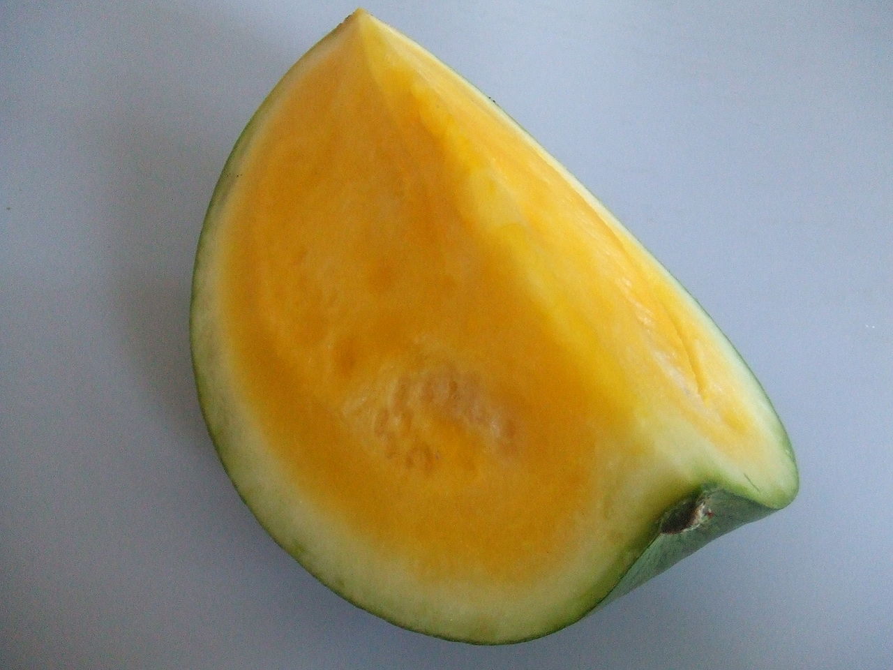 Illustration Citrullus lanatus, Par Hans B., via wikimedia 