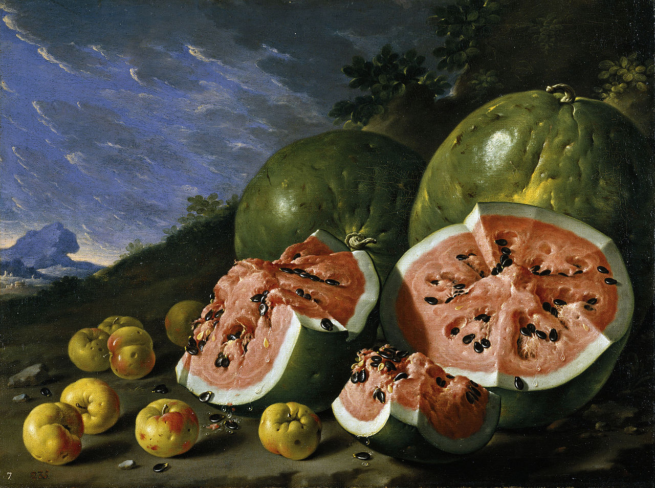 Illustration Citrullus lanatus, Par Luis+Eugenio+Mel%C3%A9ndez+%281716%E2%80%931780%29, via wikimedia 