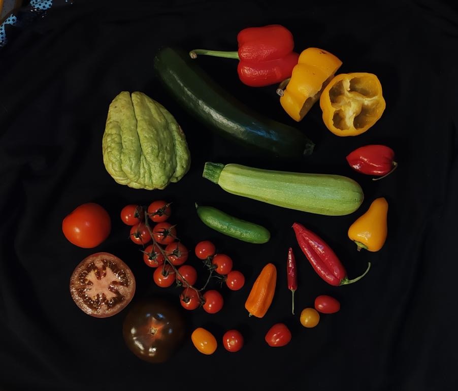 Légumes-fruits !