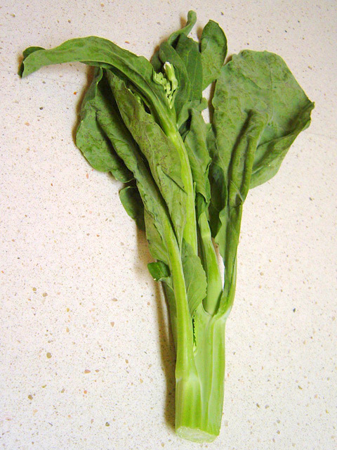 Illustration Brassica oleracea var. alboglabra, Par Kowloonese, via wikimedia 