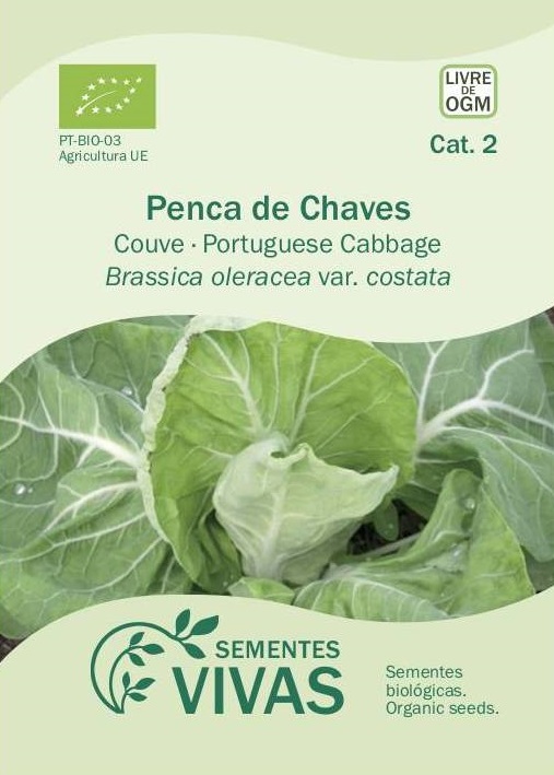 Illustration Brassica oleracea var. costata cv. 'Penca De Chaves', Par inconnu, via x 